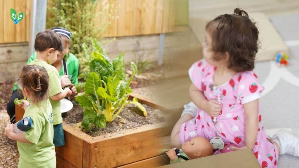 Debunking the Socialisation Myth 